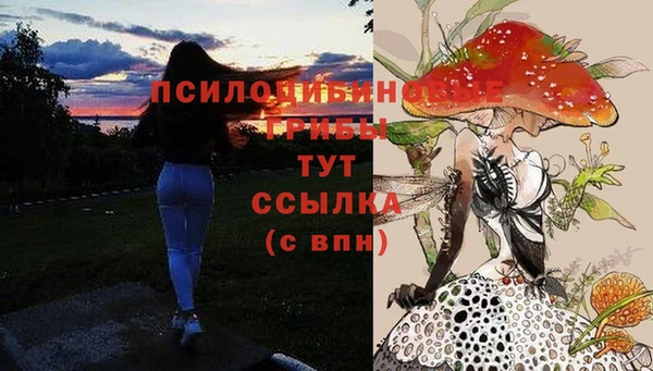соль ск Липки