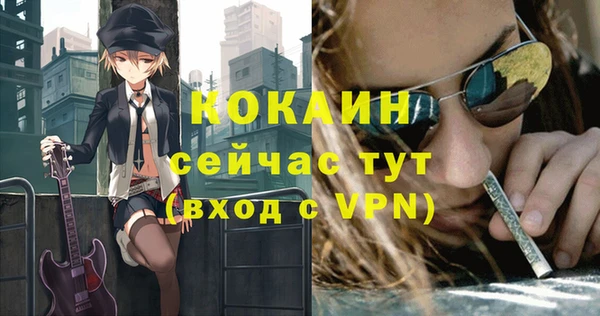 соль ск Липки
