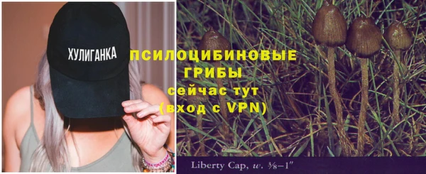 прущий лед Лихославль