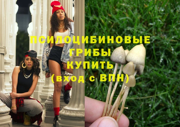 крисы Лиски