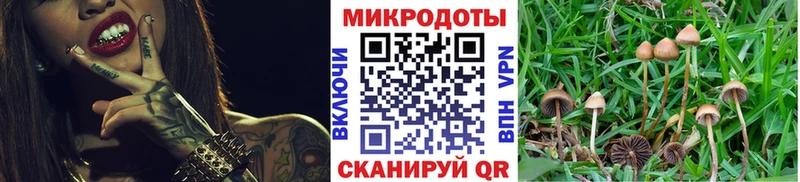 Купить  Медвежьегорск  Галлюциногенные грибы мухоморы 